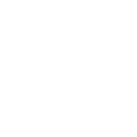 100% Organic Ingredients