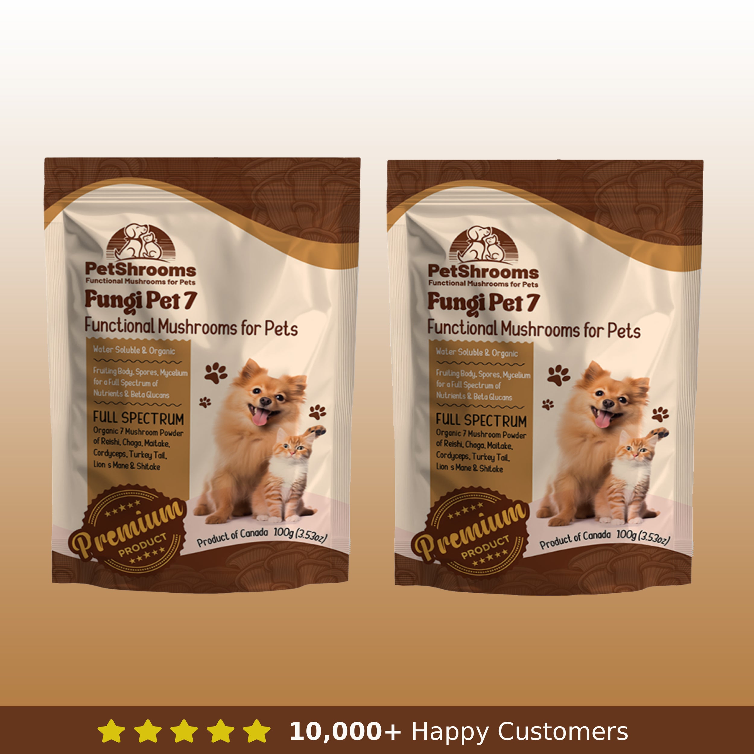 Champignons de compagnie 7