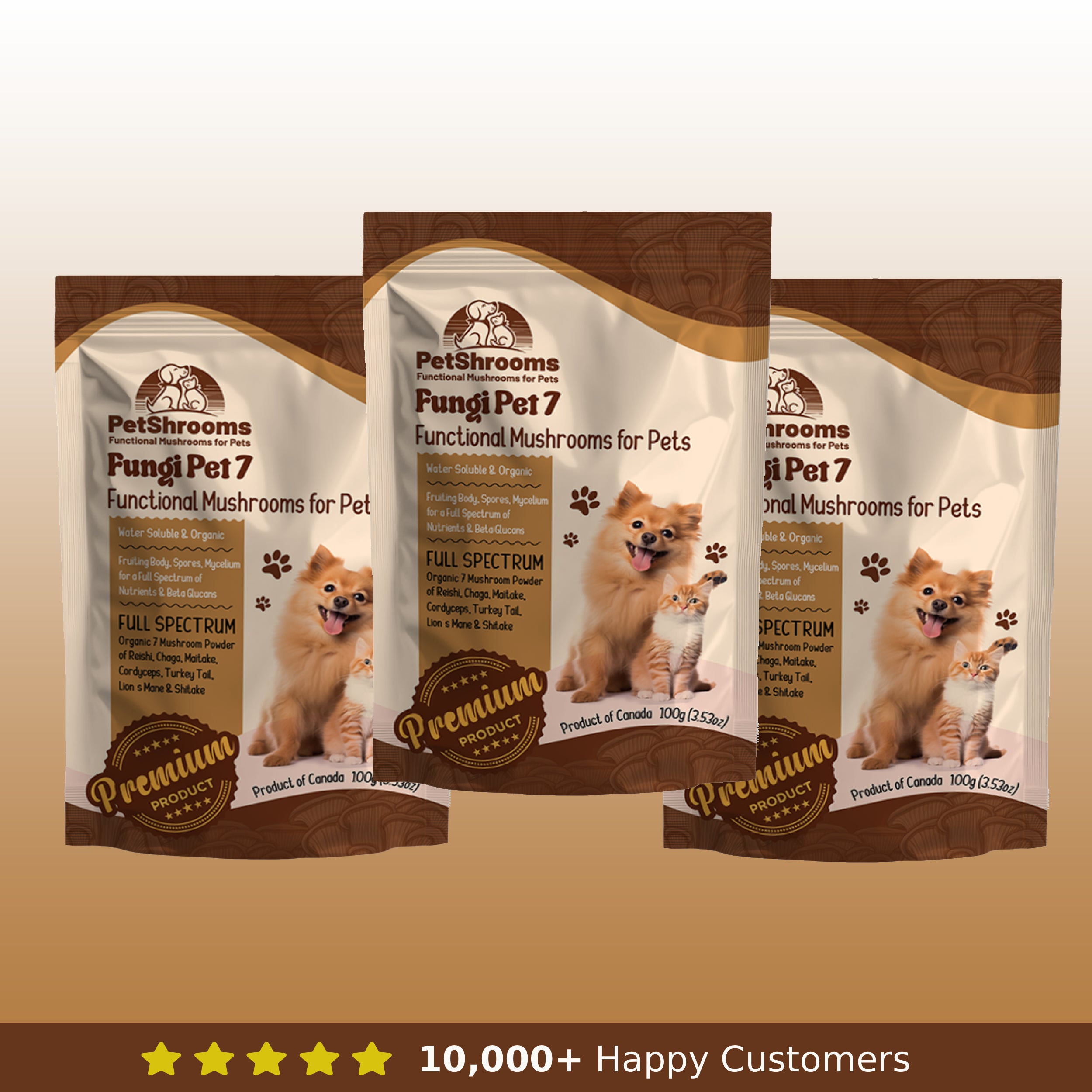 Champignons de compagnie 7