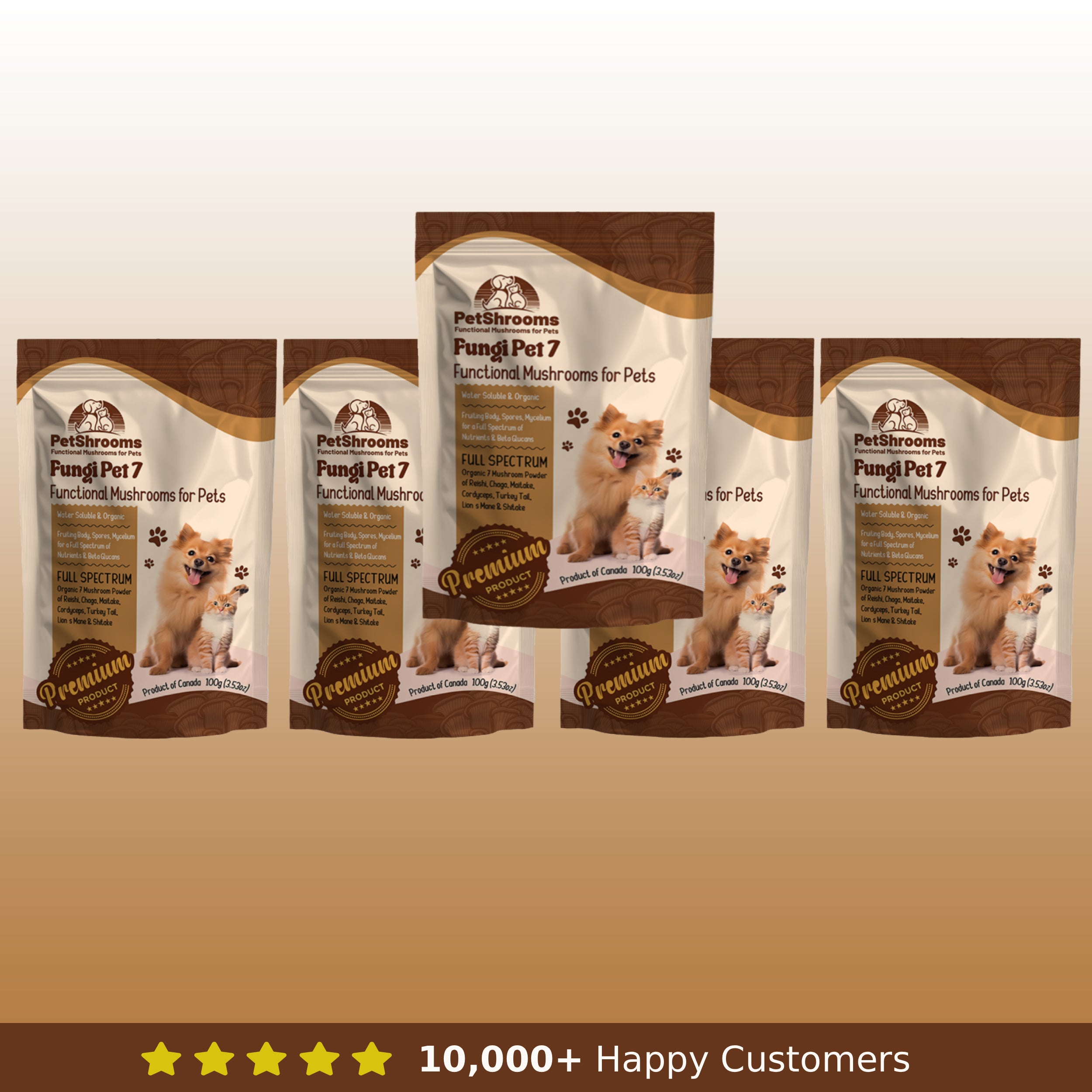 Champignons de compagnie 7