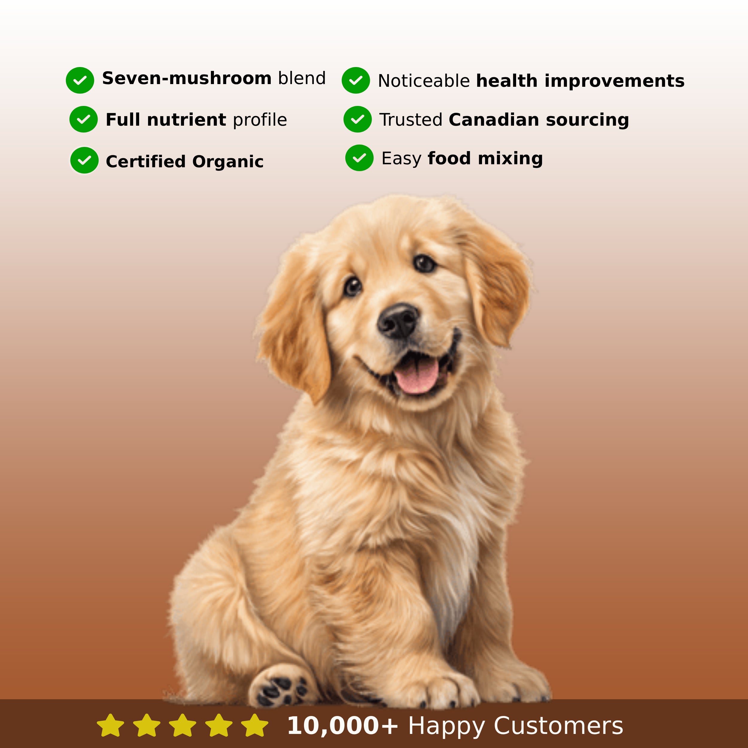 PetShroom Health PetShrooms 7 mushroom powder supplement for dogs and cats in a sealed container with a colorful label.